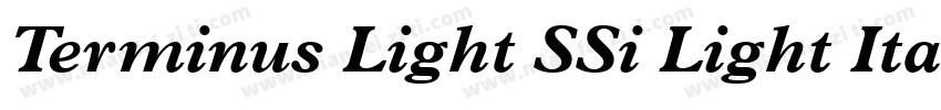 Terminus Light SSi Light Italic字体转换